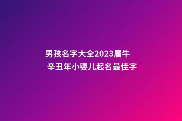 男孩名字大全2023属牛 辛丑年小婴儿起名最佳字